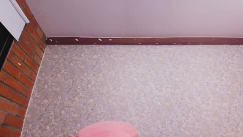 Nicol online show from 12/31/24, 01:15