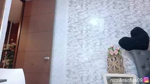 Snapshot of nicolle4 chatting on 06/11/26, 02:22 nicolle4 online show from 06/11/26, 02:22