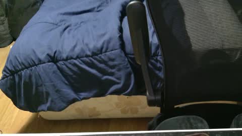 Julian online show from 01/15/25, 11:00