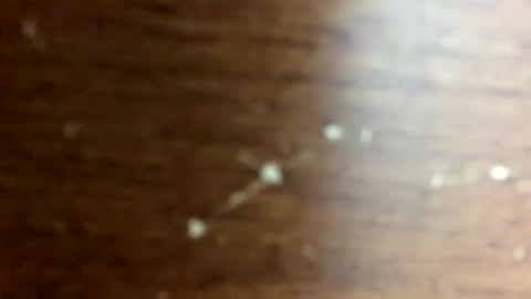 Snapshot of nightmoves1970 chatting on 10/14/25, 02:45 nightmoves1970 online show from 10/14/25, 02:45