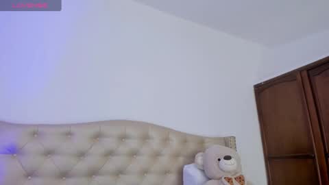 Snapshot of nikiibrooks chatting on 01/31/25, 01:11 Niikii online show from 01/31/25, 01:11