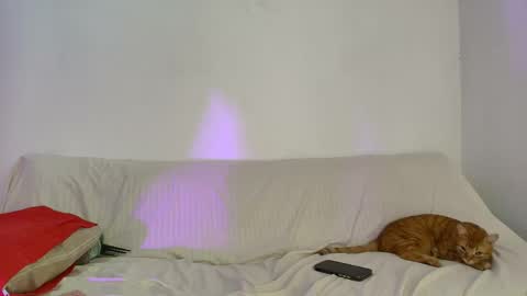 nikki_uwu online show from 06/02/26, 08:00