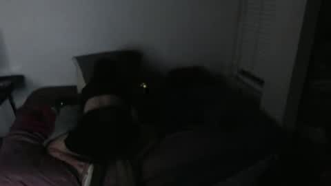 Snapshot of nikkigamer chatting on 11/30/25, 11:47 nikkigamer online show from 11/30/25, 11:47