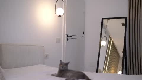 Nicole online show from 07/06/26, 06:43