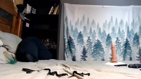 Nikki online show from 01/19/25, 11:32