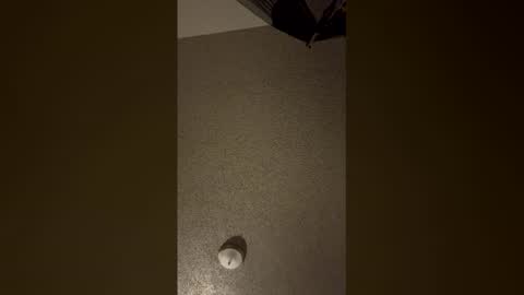 Snapshot of nikkitag93 chatting on 12/18/25, 07:58 nikkitag93 online show from 12/18/25, 07:58