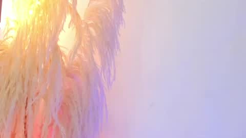    online show from 07/09/26, 11:53