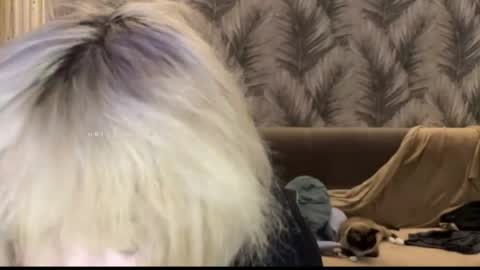 nikoli_naw online show from 06/11/26, 07:45