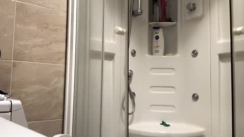 Niks online show from 12/15/25, 04:28