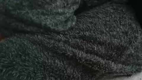 Snapshot of nineinchhard chatting on 09/14/25, 08:46 nineinchhard online show from 09/14/25, 08:46