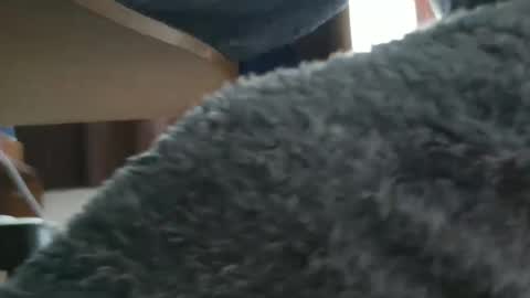 nineinchhard online show from 10/20/25, 09:43