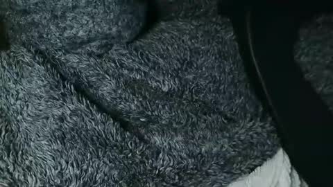 Snapshot of nineinchhard chatting on 11/28/25, 12:19 nineinchhard online show from 11/28/25, 12:19