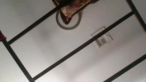 nipplechaser online show from 01/18/25, 05:37