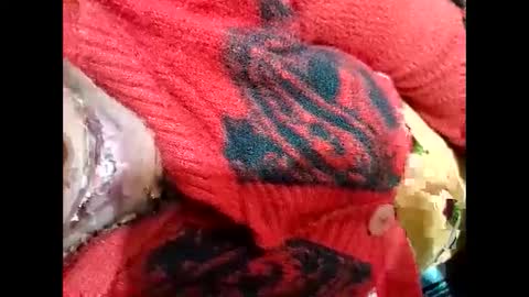 Nisha online show from 01/03/25, 03:44