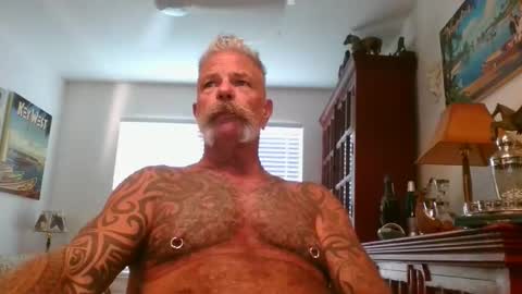 Snapshot of njdbear chatting on 11/01/25, 09:28 Don online show from 11/01/25, 09:28