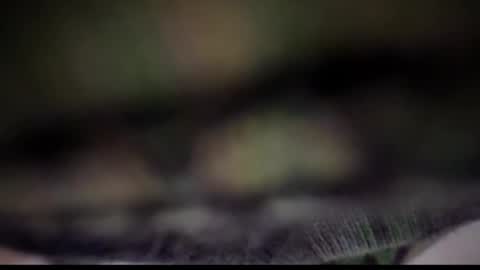 Snapshot of nloraaa chatting on 02/25/25, 05:08 Tears Lora online show from 02/25/25, 05:08