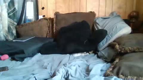 Noliana online show from 11/24/25, 05:12