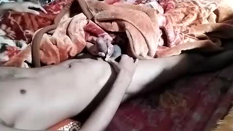 sim  nib online show from 01/28/25, 06:38