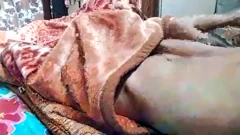 sim  nib online show from 03/01/25, 05:31