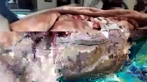 sim  nib online show from 03/01/25, 10:31