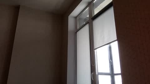 Snapshot of north_justin chatting on 03/05/26, 12:23 Justin online show from 03/05/26, 12:23