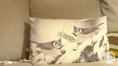 Norwegian Erik xx online show from 12/29/24, 10:57