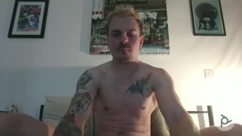Not Another XXX Webcam online show from 03/12/26, 10:27