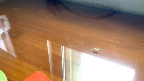 nudistadepilado online show from 09/13/25, 10:04