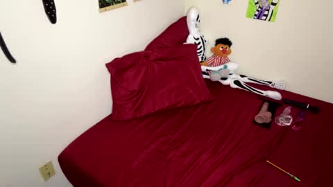 Nymphaea online show from 11/15/25, 12:08