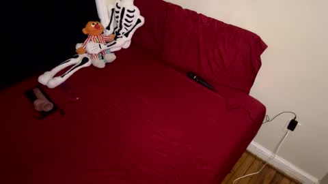 Snapshot of nymphaeaorion chatting on 02/16/26, 11:34 Nymphaea online show from 02/16/26, 11:34