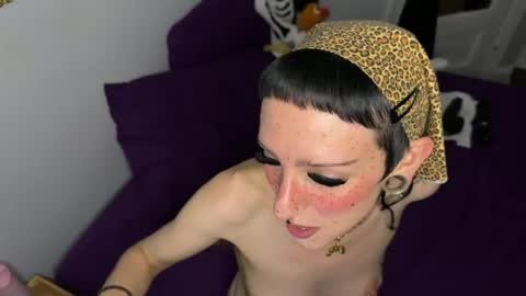 Snapshot of nymphaeaorion chatting on 06/12/26, 11:35 Nymphaea online show from 06/12/26, 11:35