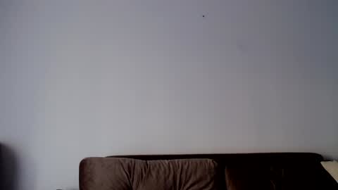 o_r_b_i_t online show from 12/19/24, 01:29