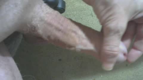 Snapshot of odentonman4fun chatting on 06/20/26, 04:04 odentonman4fun online show from 06/20/26, 04:04