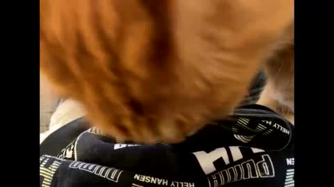 oggs48 online show from 10/21/25, 11:22