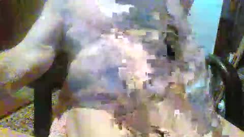 William online show from 12/14/25, 09:19