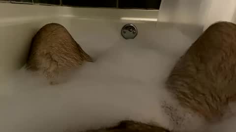 Snapshot of oldbones2 chatting on 12/08/24, 02:07 oldbones2 online show from 12/08/24, 02:07