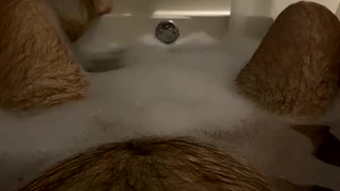 Snapshot of oldbones2 chatting on 01/28/25, 01:50 oldbones2 online show from 01/28/25, 01:50