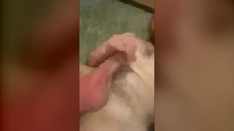 olijames6891 online show from 12/21/25, 07:48