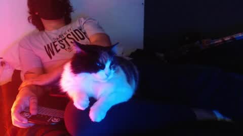 oliver_laid_2023 online show from 12/20/24, 01:14