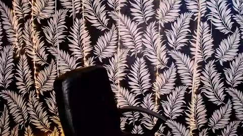 Kelly online show from 10/16/25, 11:33