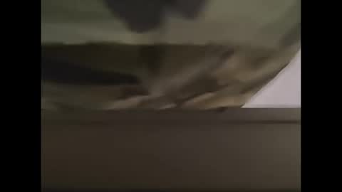 oneeyesnake1843142 online show from 10/12/25, 01:21