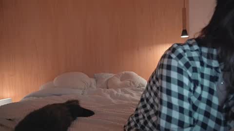 Ariel online show from 12/16/24, 08:37