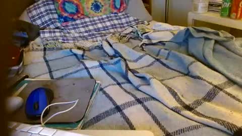 Mattu online show from 11/11/25, 07:41