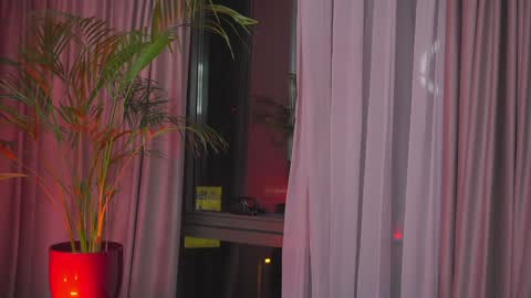 Nicolle online show from 01/30/25, 01:11