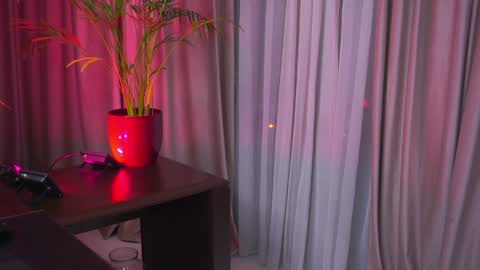 Nicolle online show from 02/02/25, 12:30