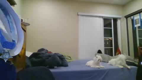 oorah1775 online show from 12/22/24, 05:12