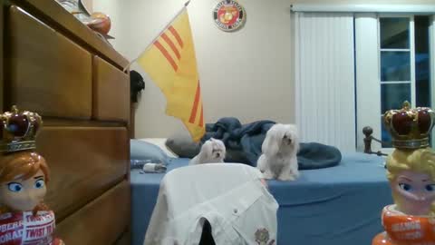 oorah1775 online show from 03/02/25, 02:10