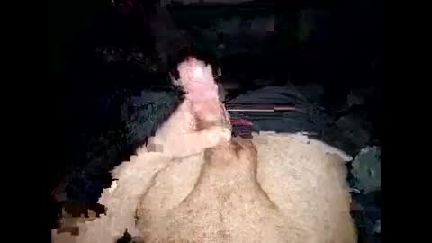 Snapshot of opelator chatting on 01/27/25, 06:20 opelator online show from 01/27/25, 06:20