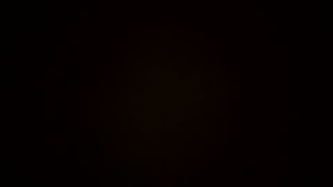 oralzoo2 online show from 10/08/25, 12:30