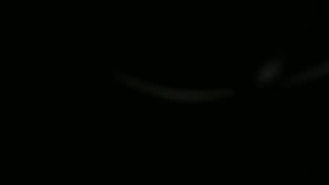 Ossi online show from 11/01/25, 10:01